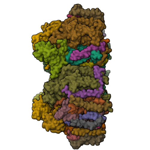 Structure 13CH
