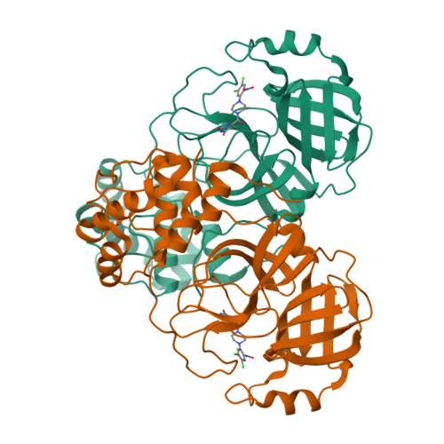Structure 13CL