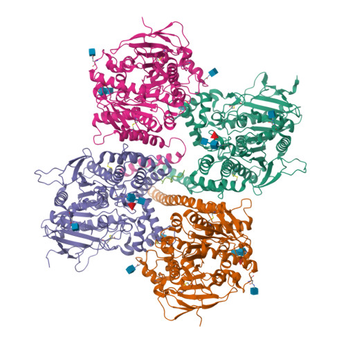 Structure 13CO