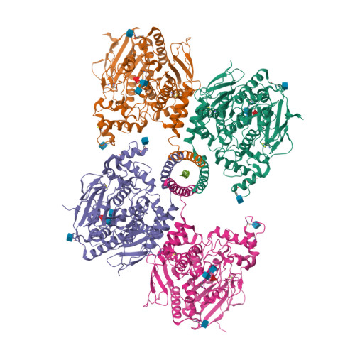 Structure 13CP
