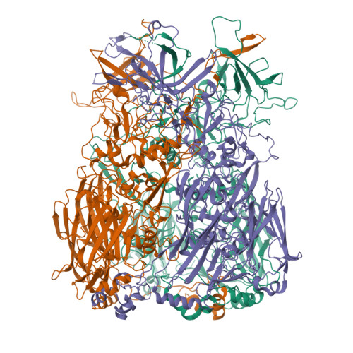 Structure 13DM