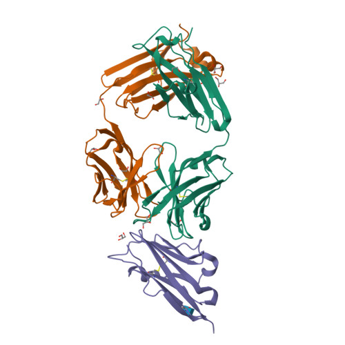 Structure 13DS