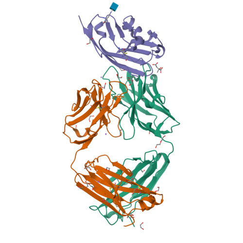 Structure 13DT