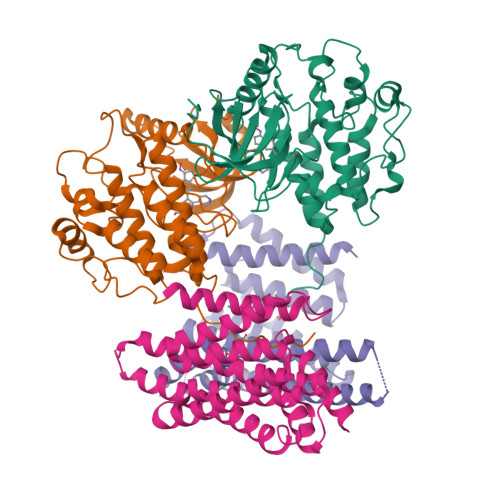 Structure 13DU