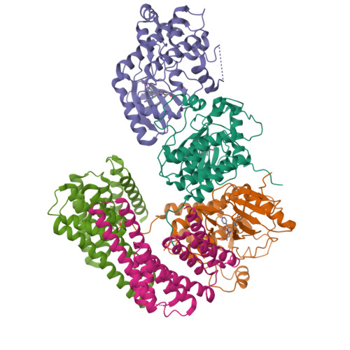 Structure 13DV