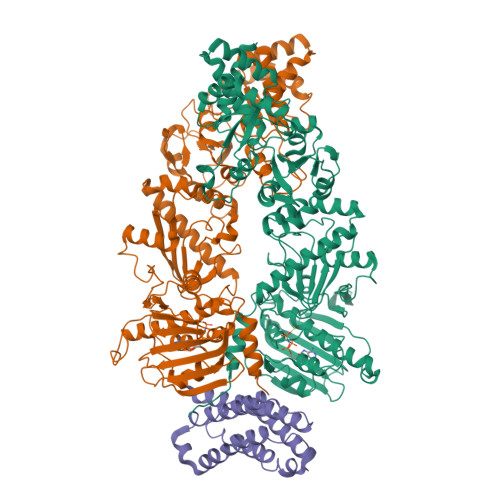 Structure 13DX