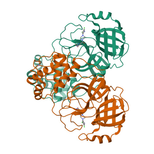 Structure 13FA