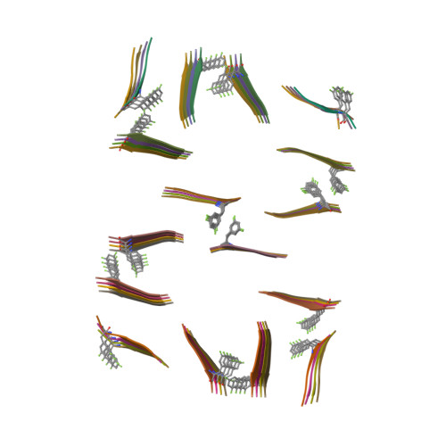 Structure 13FM