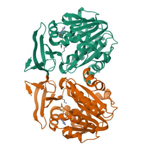 Structure 13FV