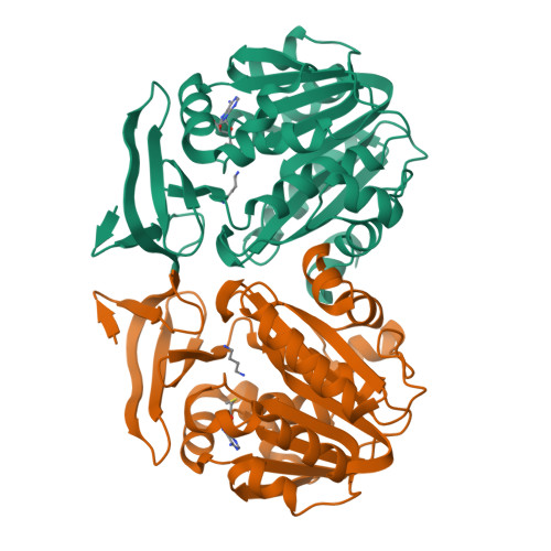 Structure 13FX