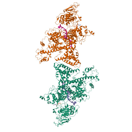 Structure 13FZ