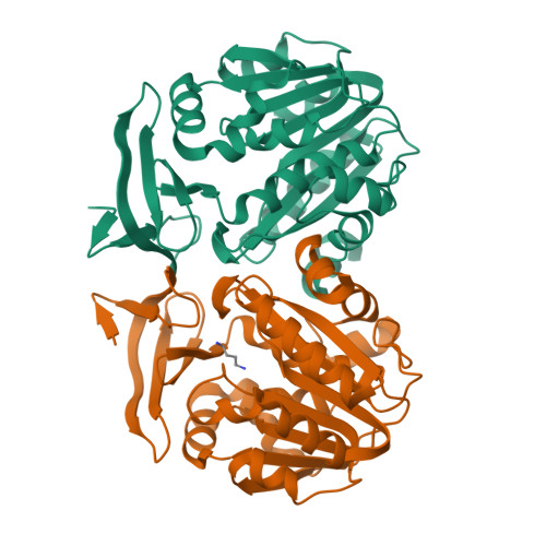 Structure 13HN