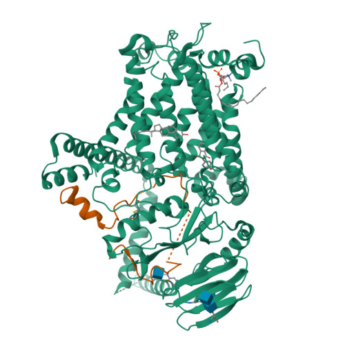 Structure 13IB