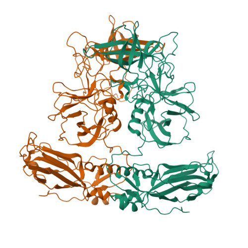 Structure 13KG