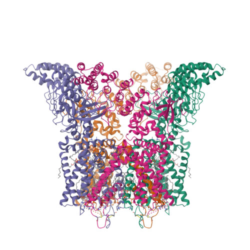 Structure 13LN