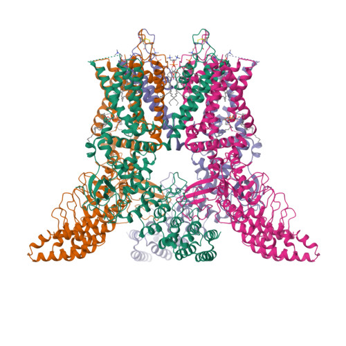 Structure 13LR