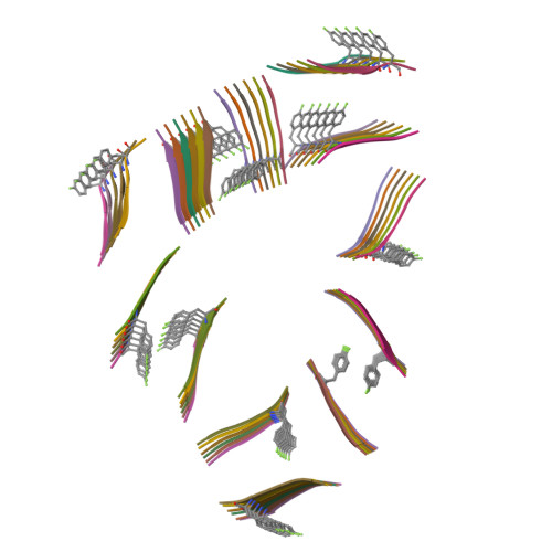 Structure 13MF