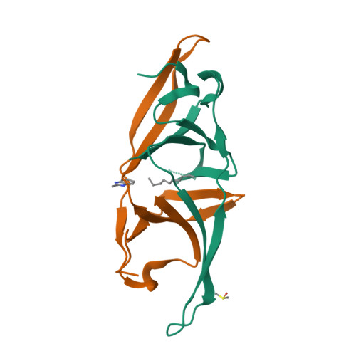 Structure 13TE