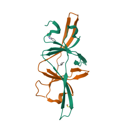 Structure 13TF