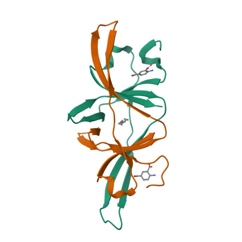 Structure 13TG