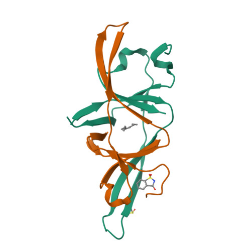 Structure 13TI