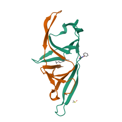 Structure 13TK