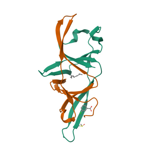 Structure 13TP