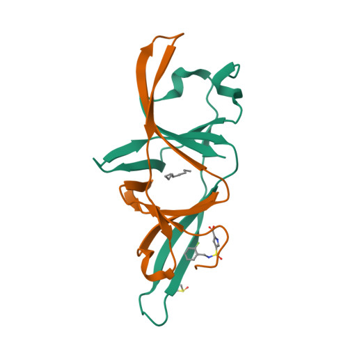 Structure 13TU