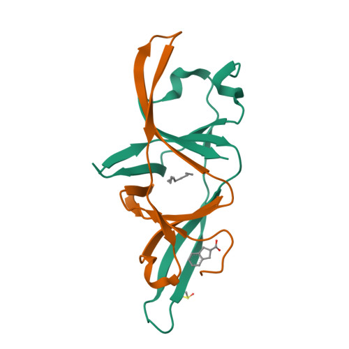 Structure 13TY