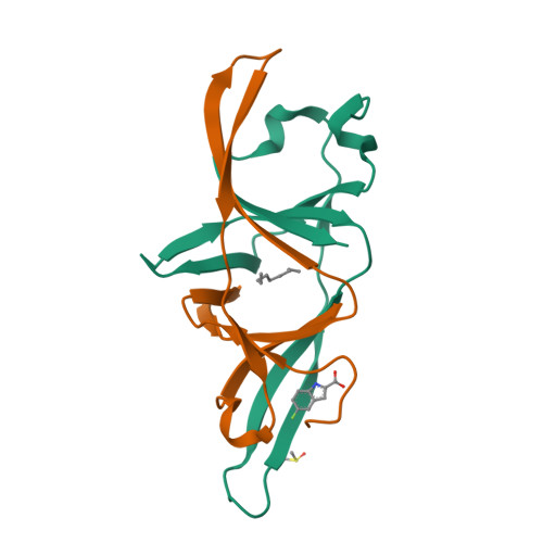 Structure 13TZ