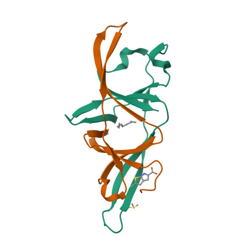 Structure 13UC