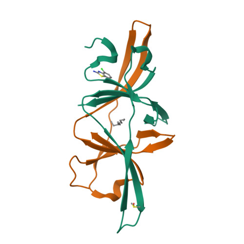 Structure 13UI