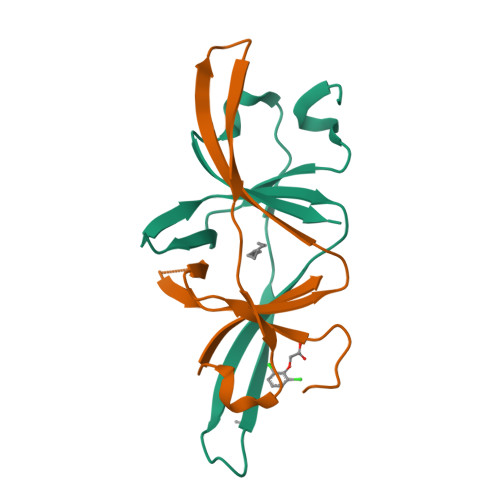 Structure 13UL