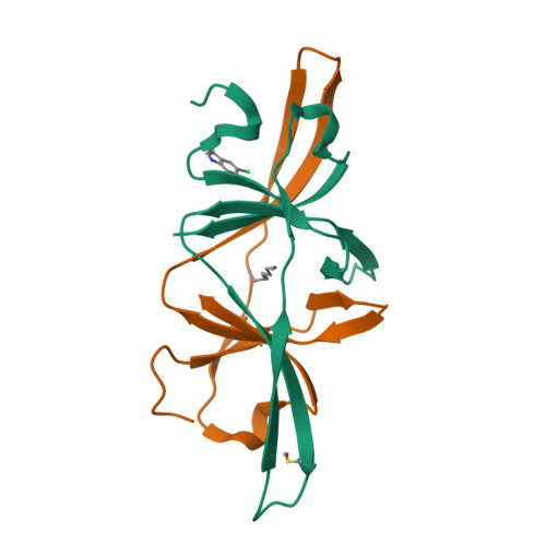 Structure 13UT