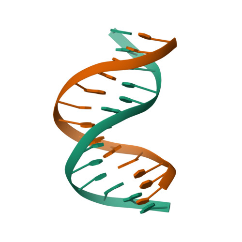 RCSB PDB - 142D: SOLUTION STRUCTURE OF A CONSERVED DNA SEQUENCE FROM ...