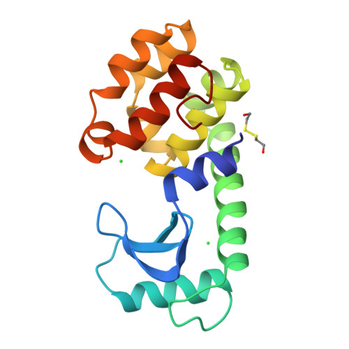 RCSB PDB - 142L: ROLE OF BACKBONE FLEXIBILITY IN THE ACCOMMODATION OF ...