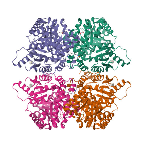 Structure 14CK