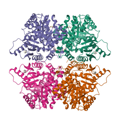 Structure 14CN