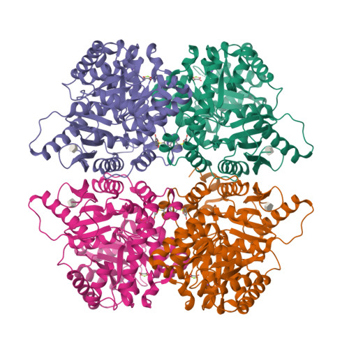 Structure 14CO