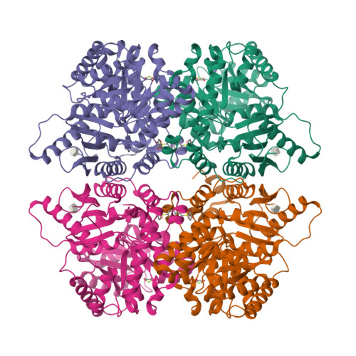 Structure 14CP