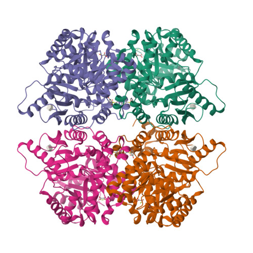 Structure 14CR