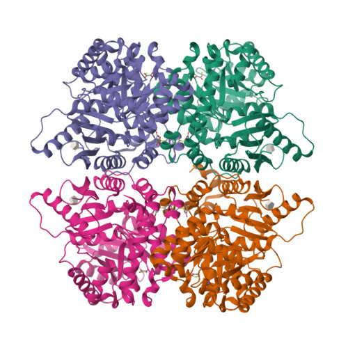 Structure 14CT