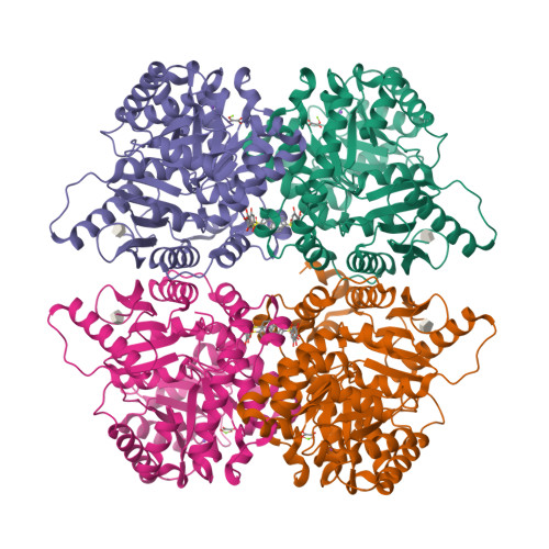 Structure 14CU