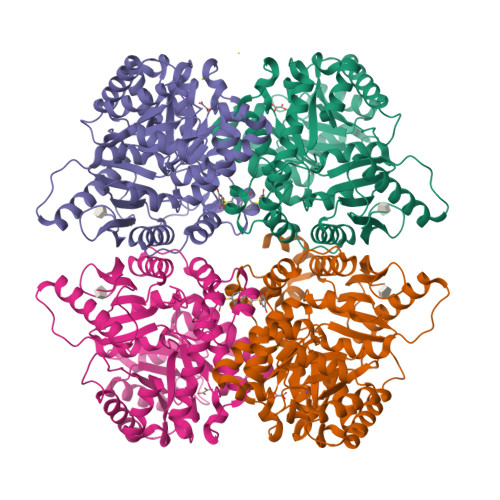 Structure 14CV