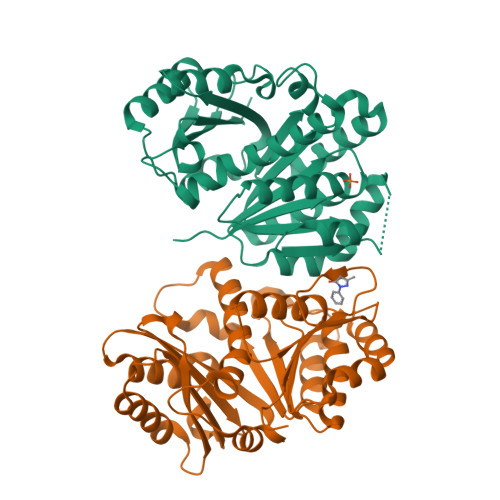 Structure 14UI