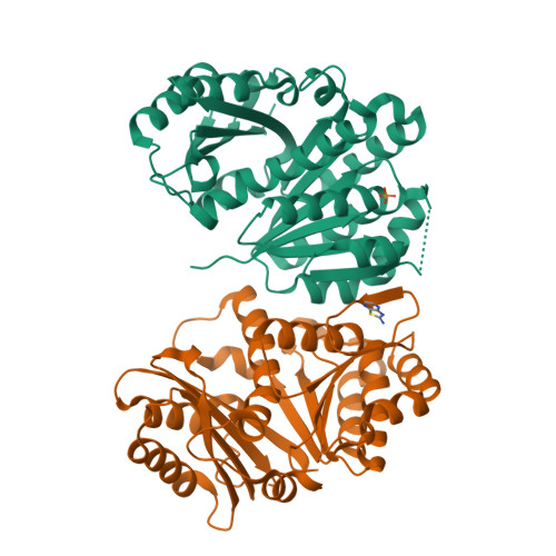 Structure 14UN