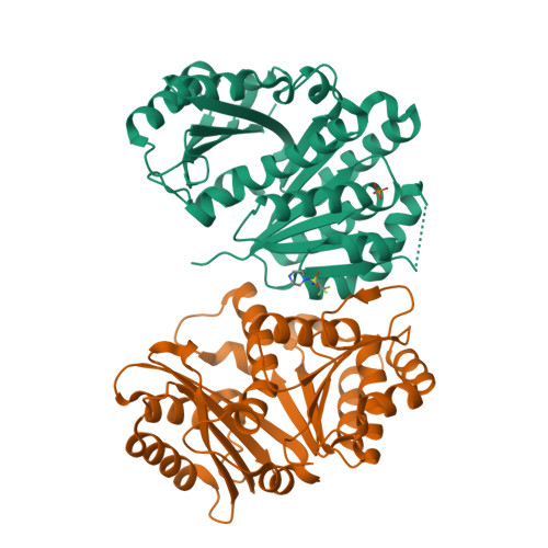 Structure 14UT