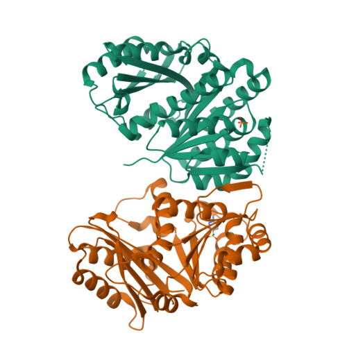 Structure 14UX