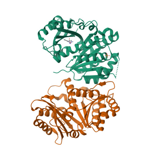 Structure 14VD