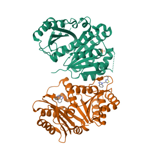 Structure 14VK